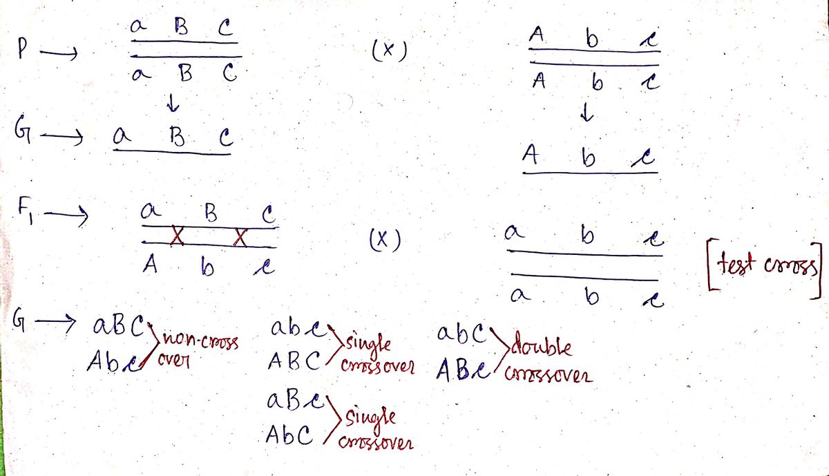 Biology homework question answer, step 1, image 1